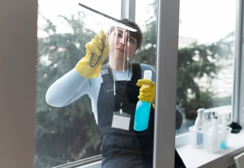 Nettoyage de vitres intérieures et extérieures à Vétheuil